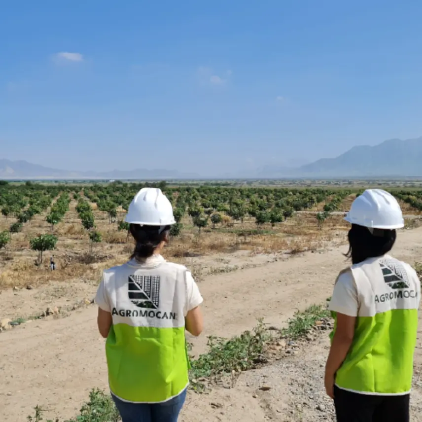 galeria-agromocan-1