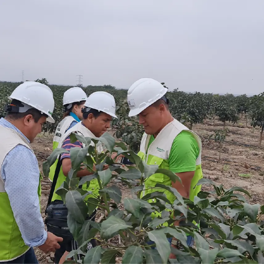 galeria-agromocan-6